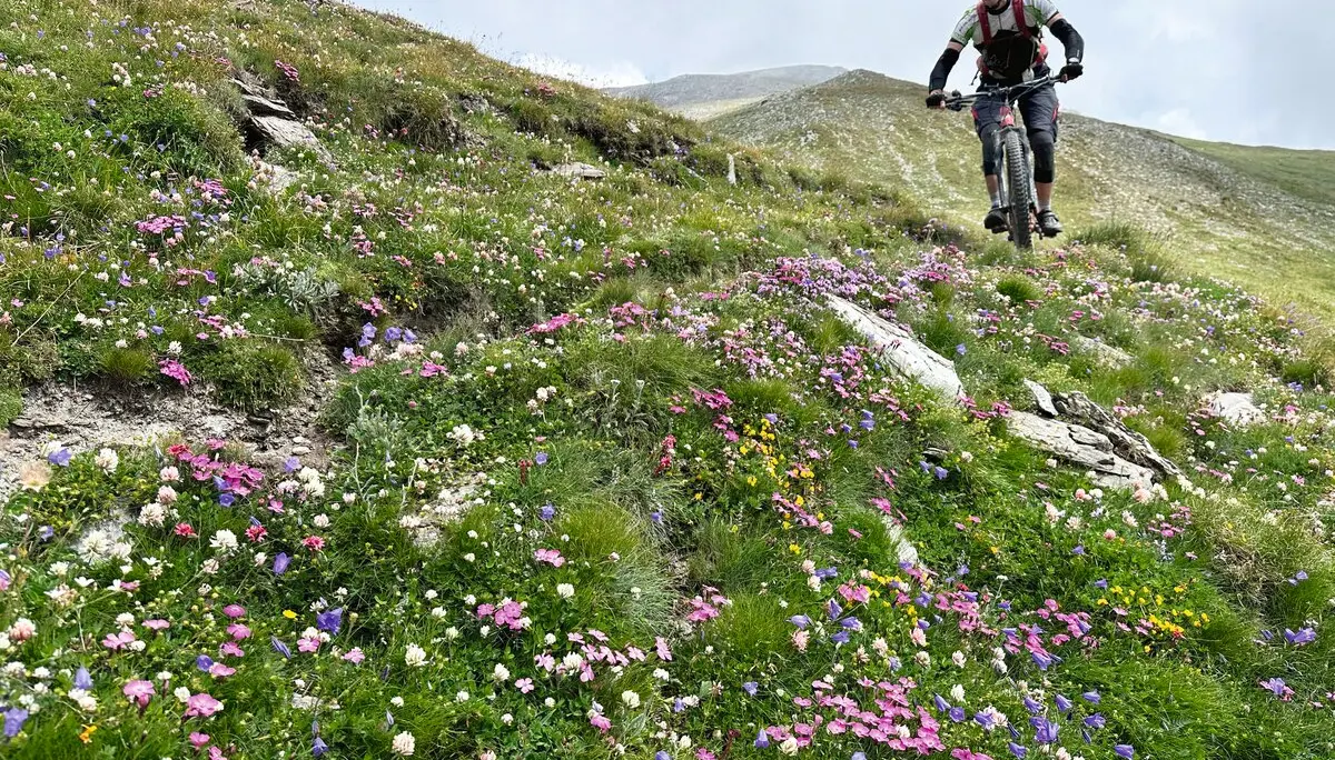 © DAV Würzburg/Wolfgang Schirm