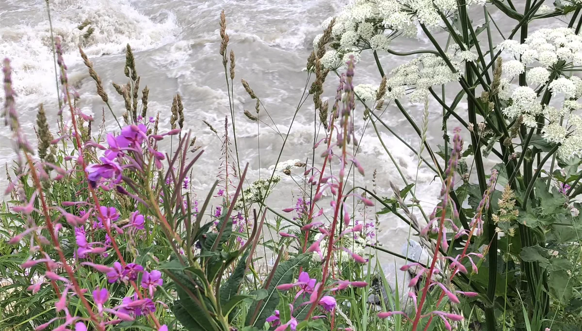 © Natia Weinmann/ DAV Würzburg