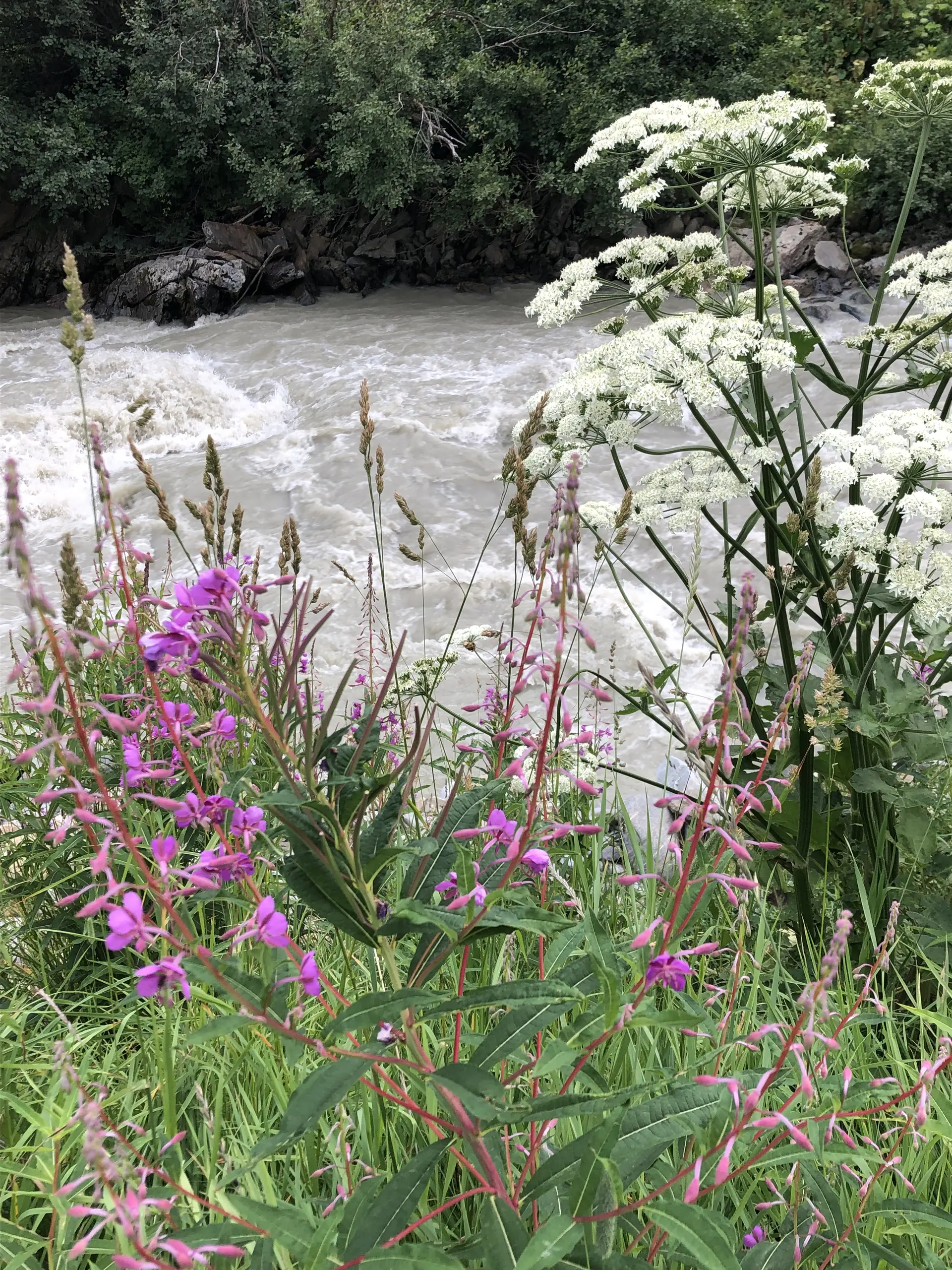 © Natia Weinmann/ DAV Würzburg