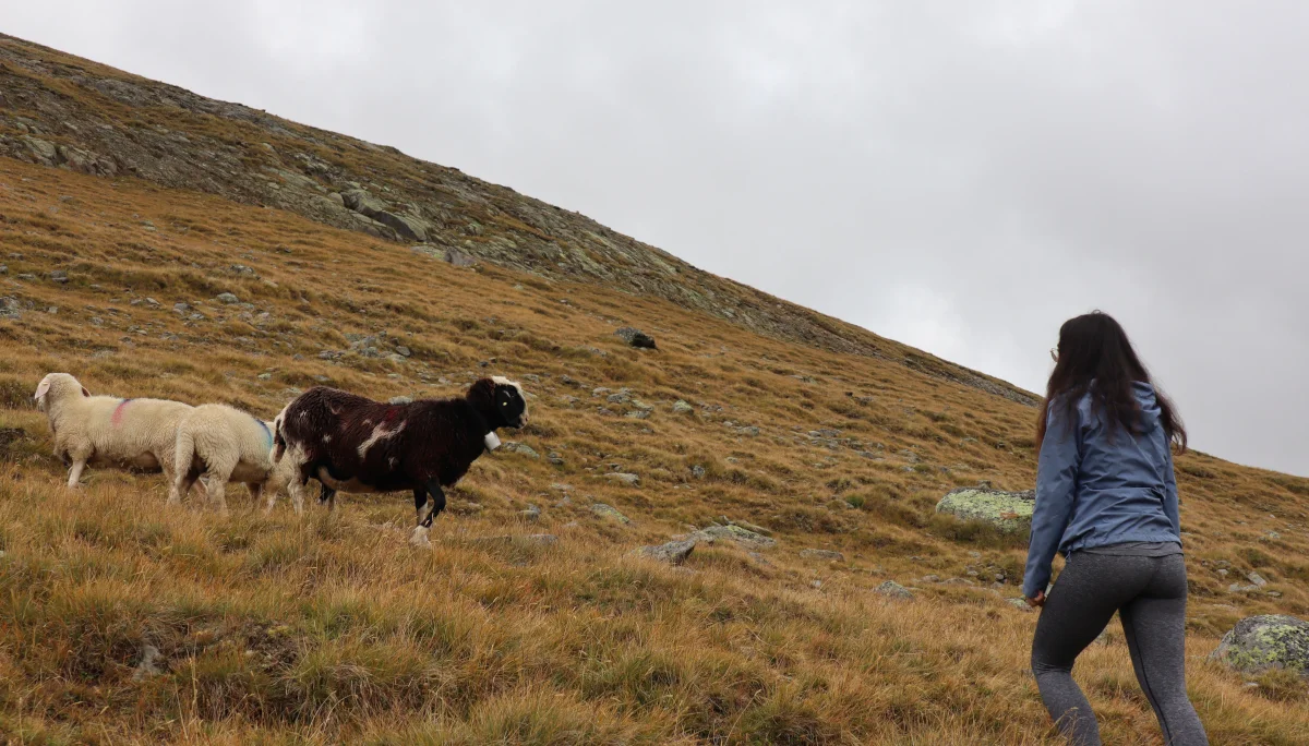 Unser JDAV erkundet die Vernagthütte | © DAV Würzburg
