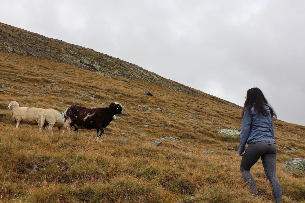 Unser JDAV erkundet die Vernagthütte | © DAV Würzburg