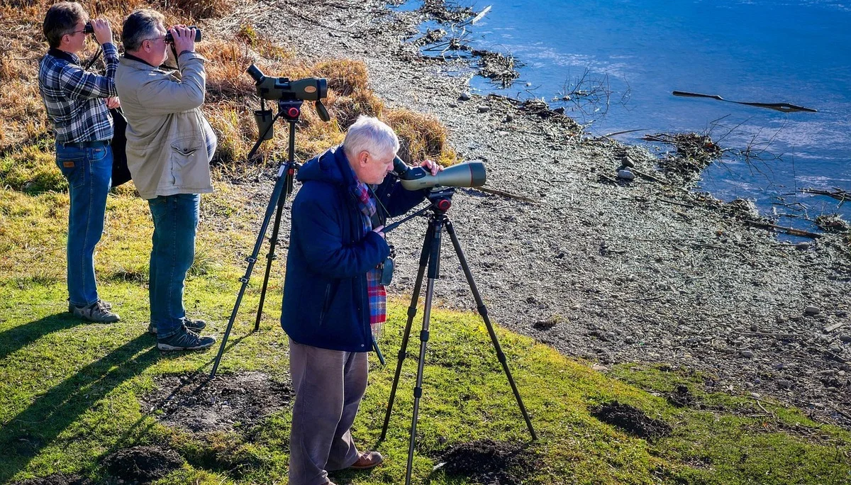 Achte die Tiere der Alpen | © Albrecht Fietz/Pixabay