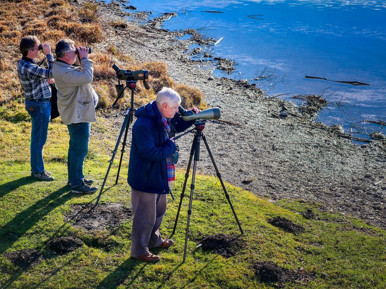 Achte die Tiere der Alpen | © Albrecht Fietz/Pixabay