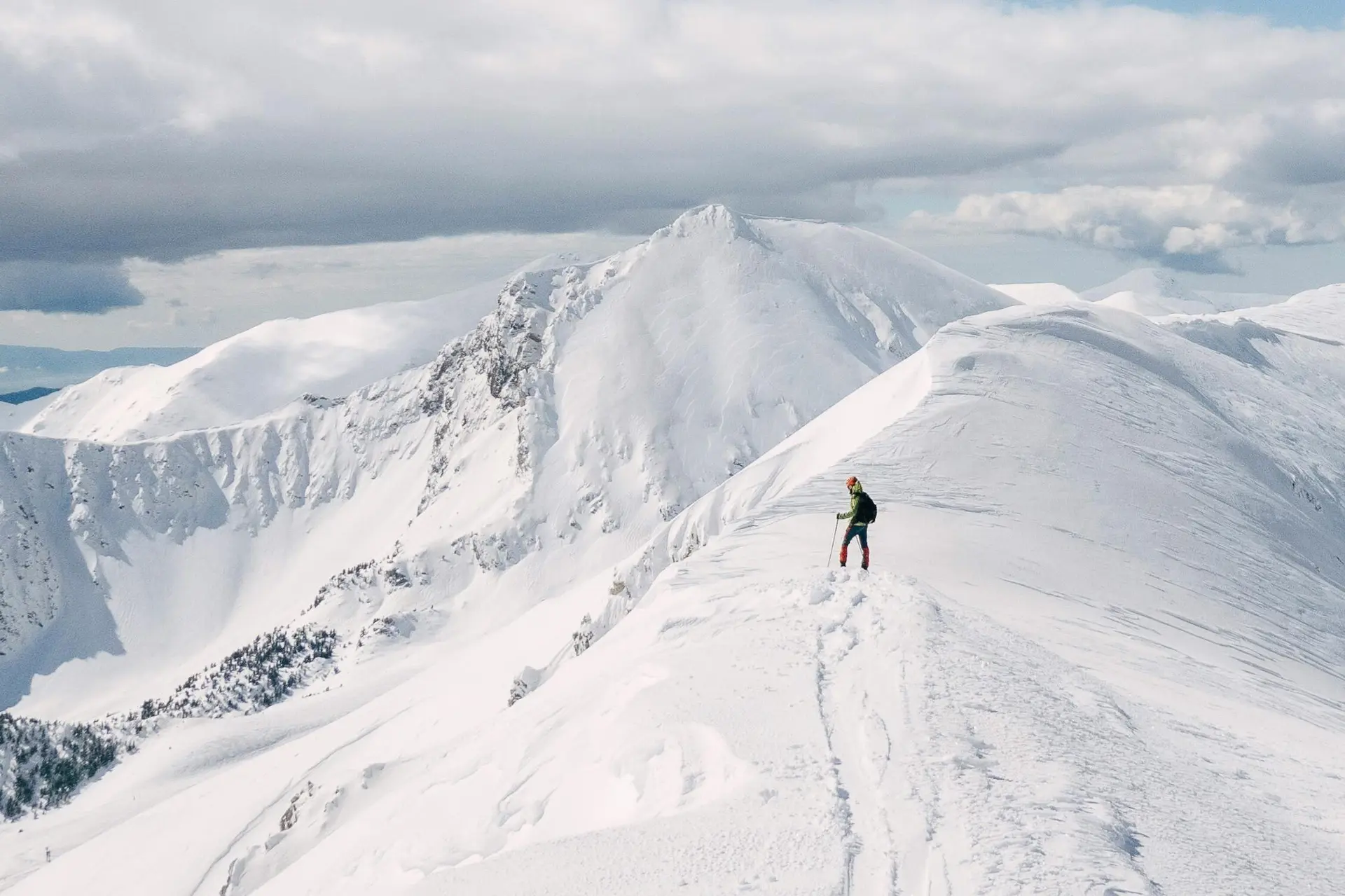 © Jordi Costa Tomé