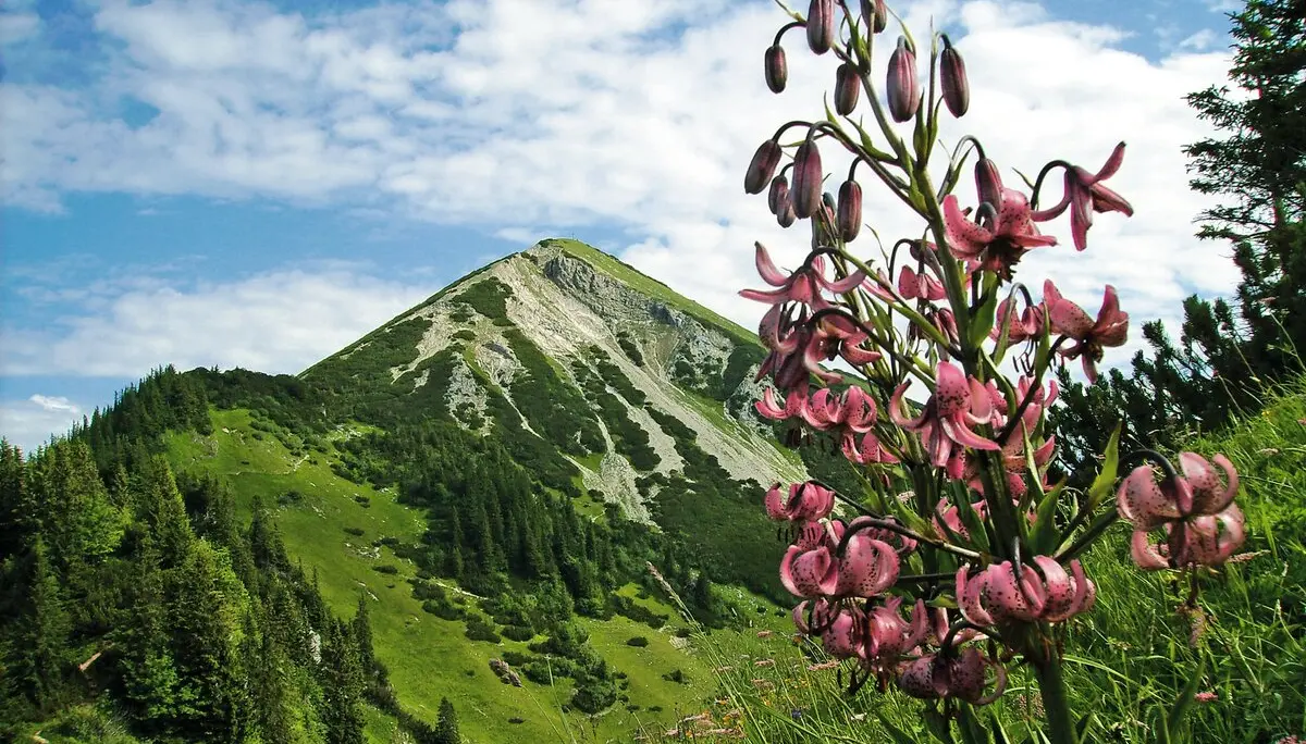 Schleching Berge Geigelstein | © Touristik-Information Schleching