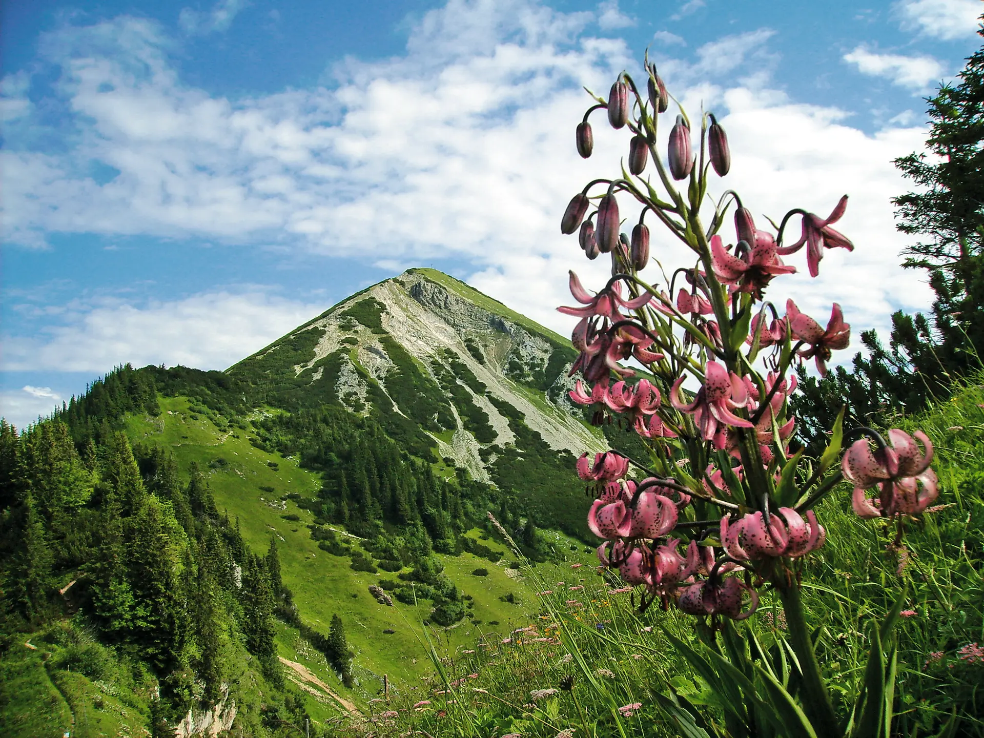 Schleching Berge Geigelstein | © Touristik-Information Schleching