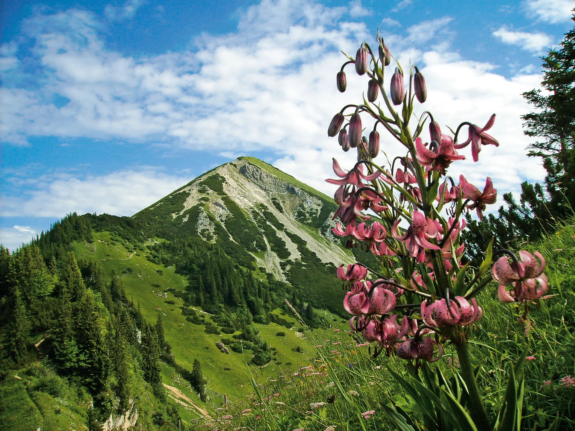 Schleching Berge Geigelstein | © Touristik-Information Schleching