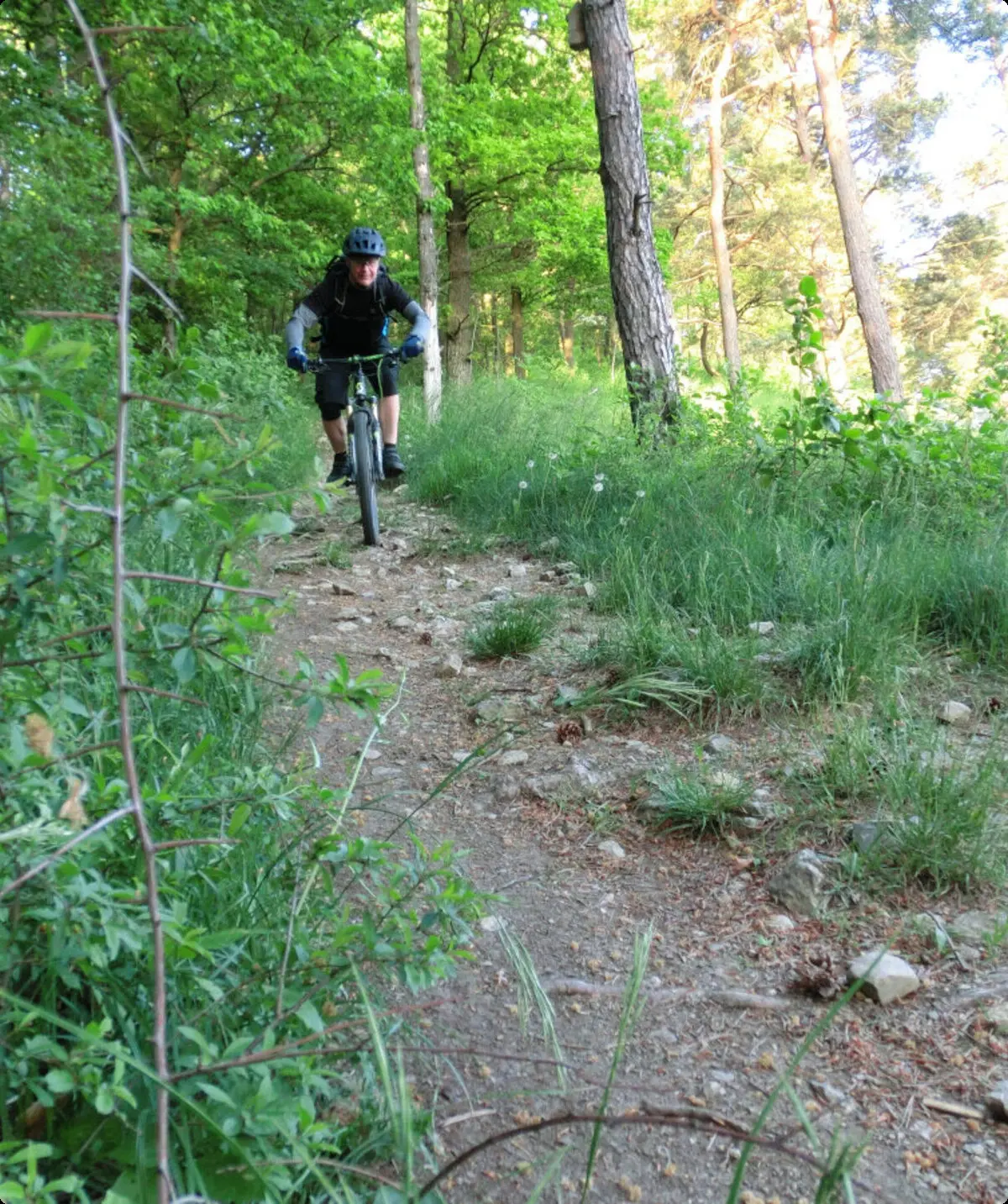 Mountainbike-Spritztour | © DAV Würzburg