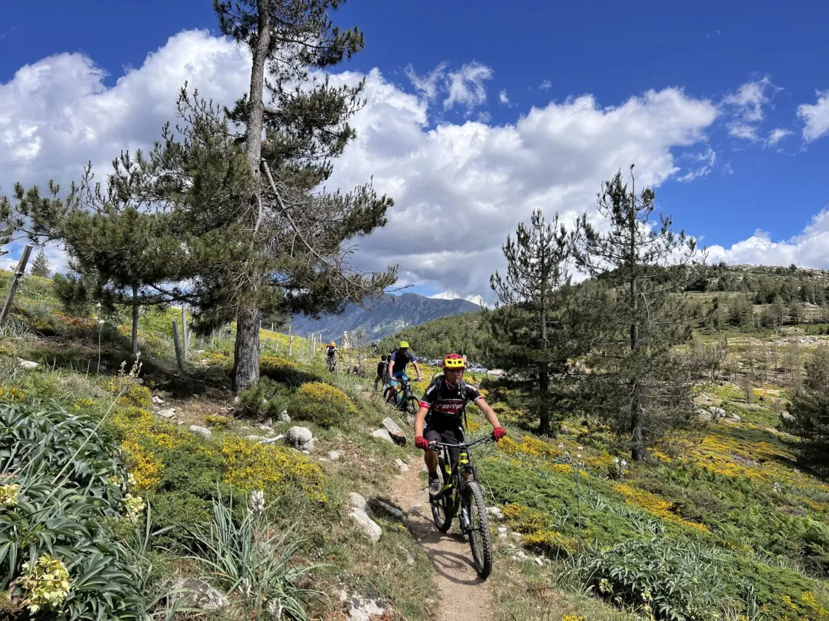 Mountainbikem beim DAV Wuerzburg | © DAV Wuerzburg