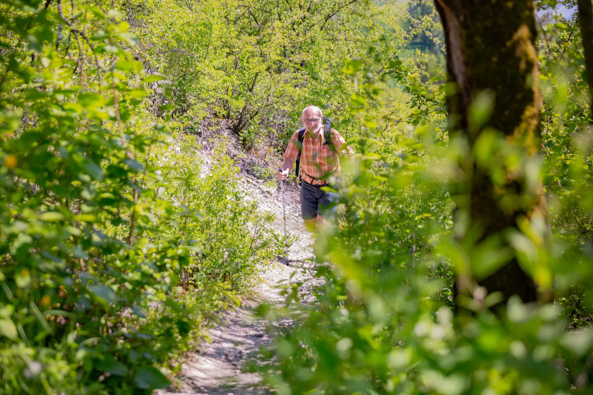Ein Wanderer läuft auf einem schönen Wanderweg einen Berg hinauf | © DAV Wuerzburg