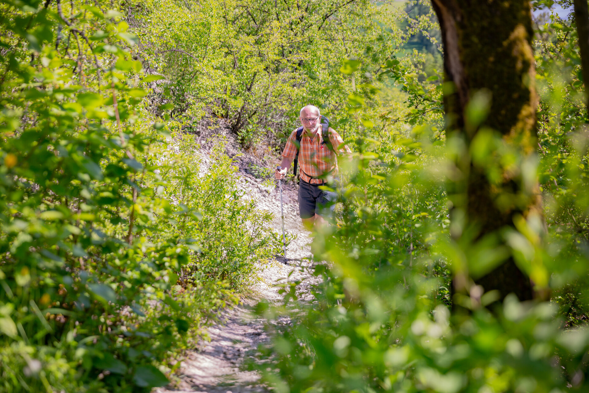 Ein Wanderer läuft auf einem schönen Wanderweg einen Berg hinauf | © DAV Wuerzburg